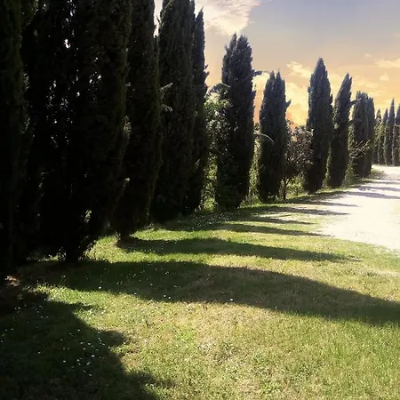 Podere Cartaio Bio Farm, Private Pool, Airc Фермерский дом Сан-Рокко-а-Пилли