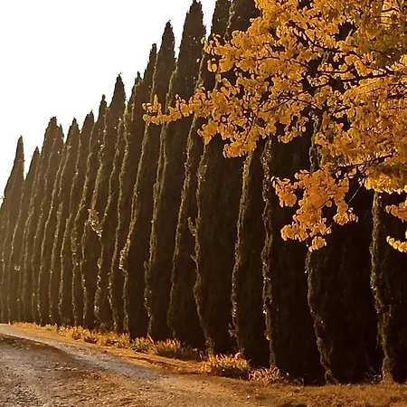 Farm stay Podere Cartaio Bio Estate Pool Airc *