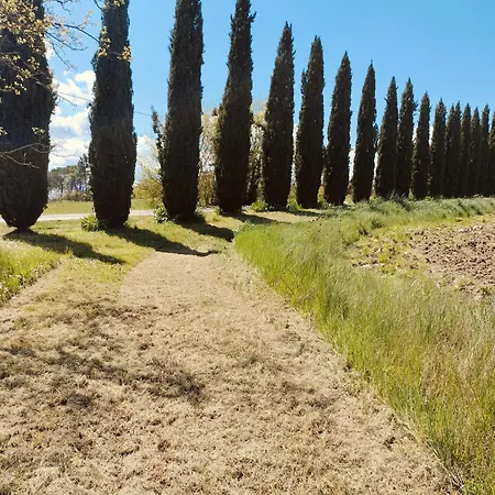 Podere Cartaio Bio Farm, Private Pool, Airc Фермерский дом