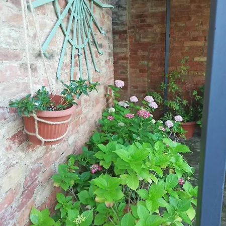 Alloggio per agriturismo Podere Cartaio Bio Estate Pool Airc San Rocco a Pilli