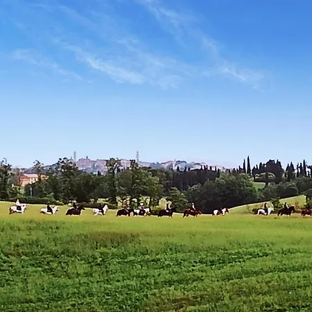 Podere Cartaio Bio Estate Pool Airc * San Rocco a Pilli