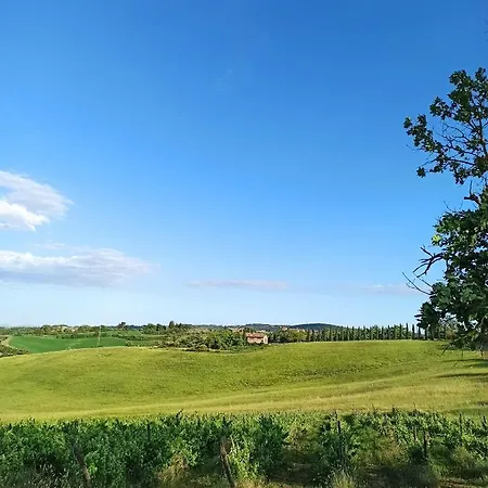 Podere Cartaio Bio Estate Pool Airc *
