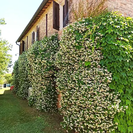 Podere Cartaio Bio Estate Pool Airc