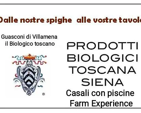 Alloggio per agriturismo Podere Cartaio Bio Estate Pool Airc *