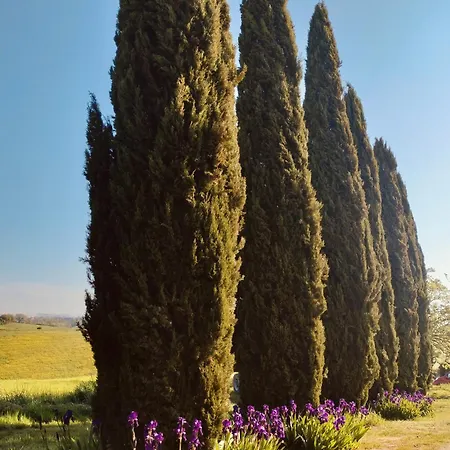 Alloggio per agriturismo Podere Cartaio Bio Estate Pool Airc