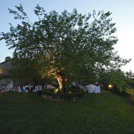 Podere Cartaio Bio Estate Pool Airc *
