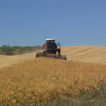 Podere Cartaio Bio Estate Pool Airc San Rocco a Pilli