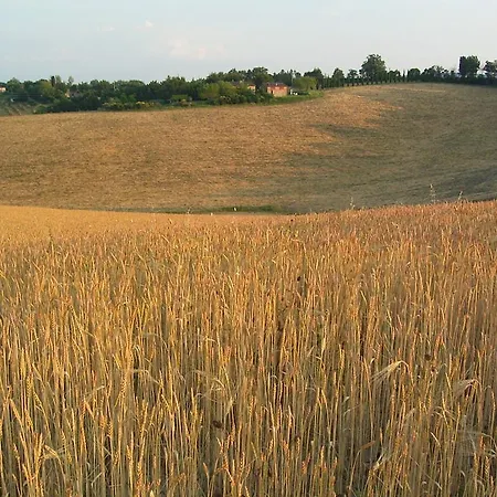 Alloggio per agriturismo Podere Cartaio Bio Estate Pool Airc *