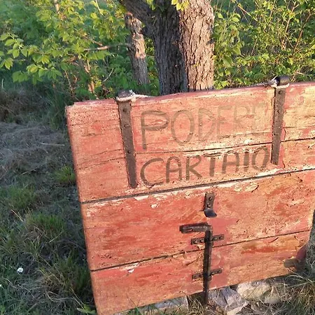 Podere Cartaio Bio Estate Pool Airc