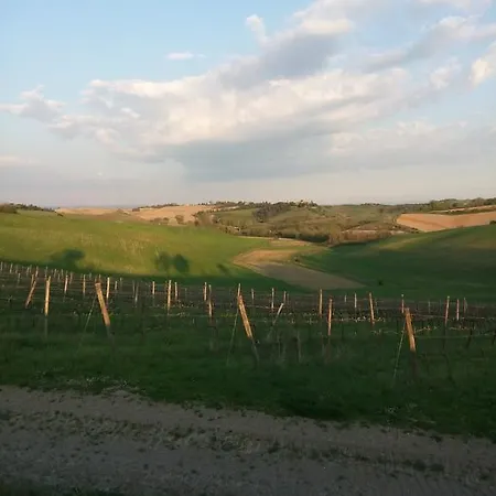 Alloggio per agriturismo Podere Cartaio Bio Estate Pool Airc *