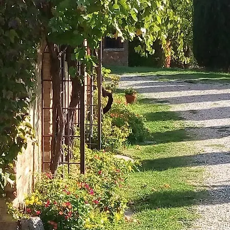 Alloggio per agriturismo Podere Cartaio Bio Estate Pool Airc