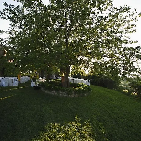 Alloggio per agriturismo Podere Cartaio Bio Estate Pool Airc *